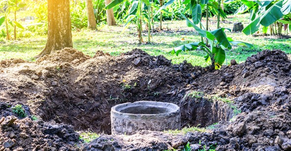 Planting on Septic Drain | CST Group Ltd